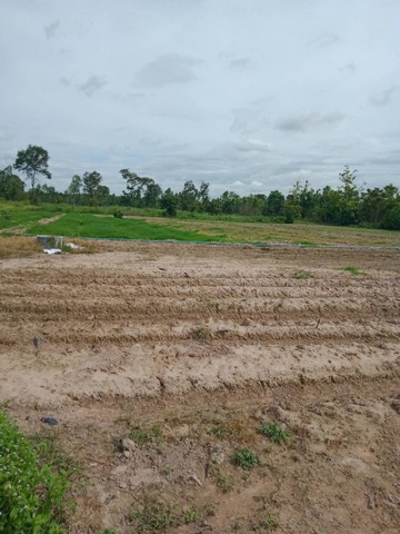 ขายที่ดินเปล่า เนื้อที่ 34-3-60 ตารางวา โนนหอม สกลนคร