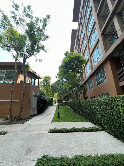 คอนโด บ้านทิวลม ชะอำ ห้อง studio ใกล้หาดชะอำและตัวเมืองชะอำ ไม่ไกลจากถนนเพชรเกษม