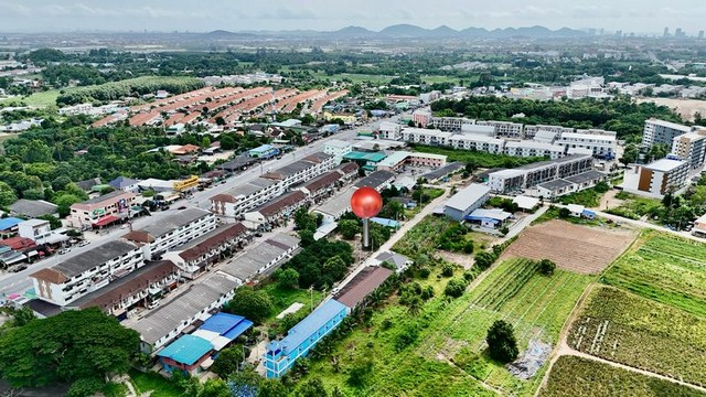 ที่ดินศรีราชา ราคาถูก ใกล้สวนเสือ 400 เมตร ทำเลดี เหมาะปลูกบ้าน TP-L1505