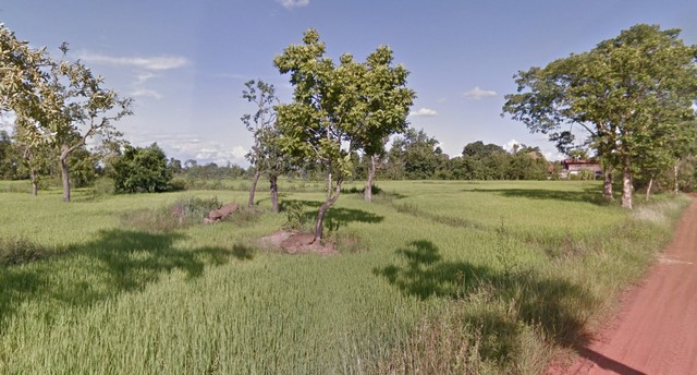 ขาย ที่ดินเปล่า 1-1-20.1 ไร่  เพียง 10 กิโลเมตร จากใจกลางเมือง ท่าอากาศยานสกลนคร เพียง 15 นาที ฮางโฮง สกลนคร