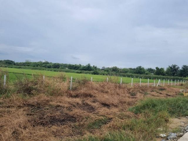 ขายที่ดิน 5-40 ไร่ ถมแล้ว เขต EEC สีม่วงจุดสีขาว ติดถนนสาธารณะ อ.เมืองฉะเชิงเทรา รถใหญ่เข้าสะดวก