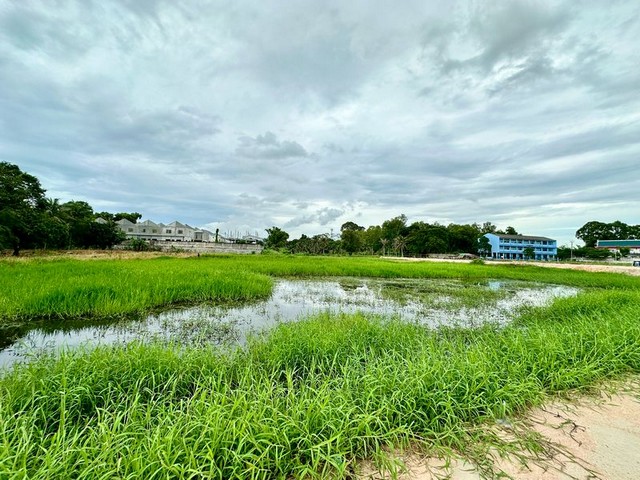 ขายที่ดินจัดสรร 2ไร่ หนองขาม ศรีราชา ติดหมู่บ้าน ใกล้นิคมอุตสาหกรรม TP-L1514