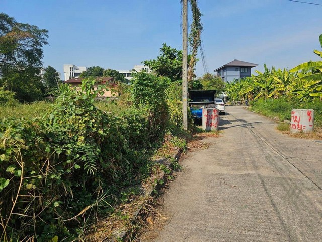 ขายที่ดินลาดพร้าว101 ซอย7 ห่าง mrt ลาดพร้าว 101 700 เมตร