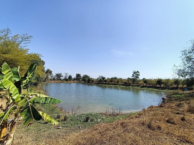 ขาย บ้าน 2 หลัง พร้อมที่ดิน 9 ไร่ 3 งาน จ.เพชรบูรณ์