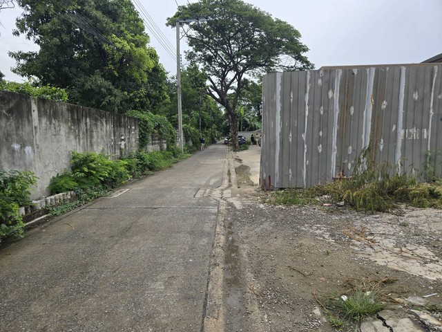 ขายด่วนที่ดินถมแล้ว 99 ตารางวา ถนนนาคนิวาส 14 แขวงลาดพร้าว เขตลาดพร้าว