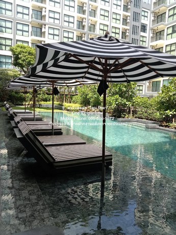 Condominium อาโล่ ลาซาล 17 Arlo Lasalle 17 1 Bedroom 25ตารางเมตร 9000 thb ไม่ไกลจาก สถานีรถไฟฟ้า BTS แบริ่ง 1.2 กม. สะดวกต่อการเดินทาง กรุงเทพ