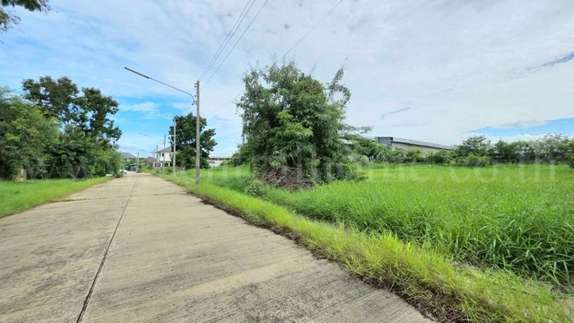 ที่ดินเปล่า 98 ตร.วา ต้นโครงการ เดอะลากูน 1-2 สามโคก - เสนา ปทุมธานี