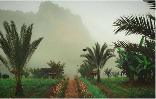 ขายที่ดิน37ไร่ 129.5ลบ.พร้อมกิจการรีสอร์ท คาเฟ่ น้ำพุร้อน สาธารณูปโภคครบ ติดถนนหลวง107 เชียงใหม่-ฝาง ต.ศรีดงเย็น อ.ไชยปราการ เชียงใหม่