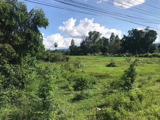 ขายที่ดิน แปลงใหญ่ ติดถนน ใกล้มอเตอร์เวย์ เข้าออกได้ 2 ทาง เหมาะทำโครงการหมู่บ้าน 35 ไร่ เดินทางสะดวก ท่าม่วง กาญจนบุรี