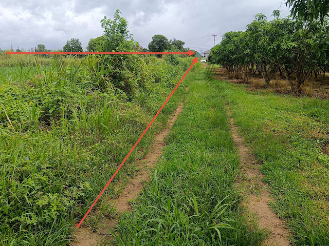 ที่ดินเปล่า เนื้อที่ขนาด 2 ไร่ ใกล้ถนนทางไปน้ำตกป่าละอู ไม่ไกลจากแหล่งท่องเที่ยว