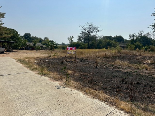 ขายที่ดิน 1-2-16 ไร่  ตำบลนามะตูม พนัสนิคม  ชลบุรี  