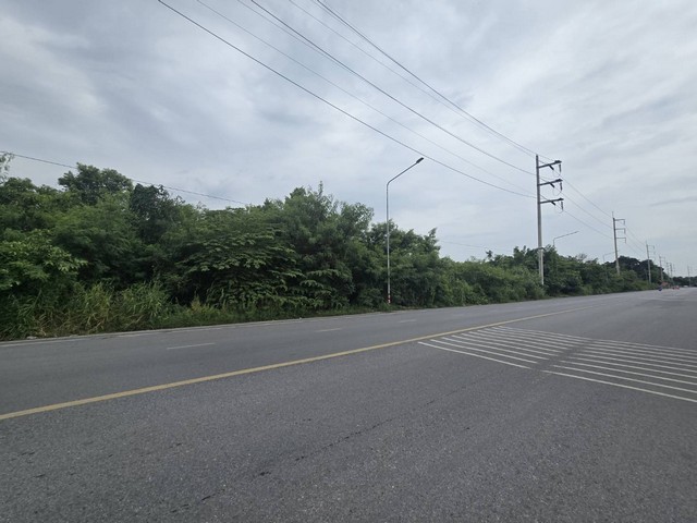 ขายที่ดินแปลงใหญ่ ปทุมธานี ใกล้วัดเสด็จ โรงเรียน ทางด่วน ราคาดีมาก