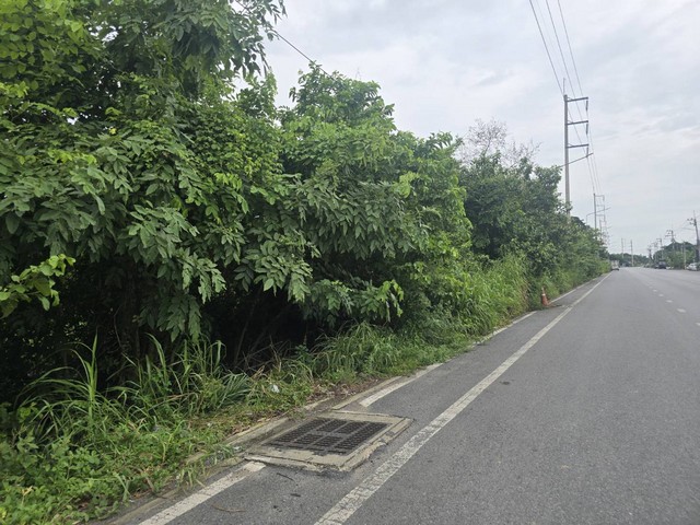 ขายที่ดินแปลงใหญ่ ปทุมธานี ใกล้วัดเสด็จ โรงเรียน ทางด่วน ราคาดีมาก