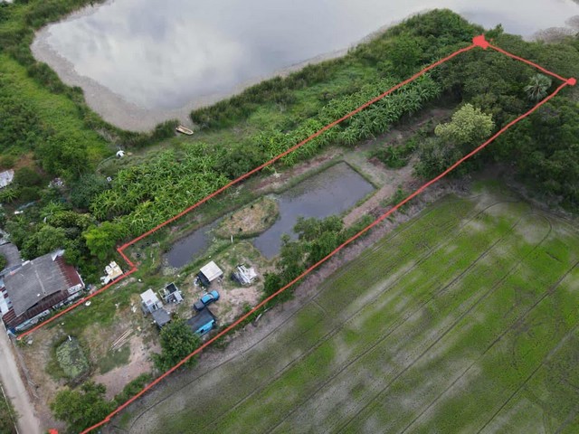 ขายที่ดินสวย ร่มรื่น มีสระน้ำ เกาะกลางน้ำ ต้นไม้ใหญ่ ใกล้ชิดธรรมชาติ อากาศดี เหมาะทำรีสอร์ทคาเฟ่ บ้านพักตากอากาศ ใกล้กรุงเทพ