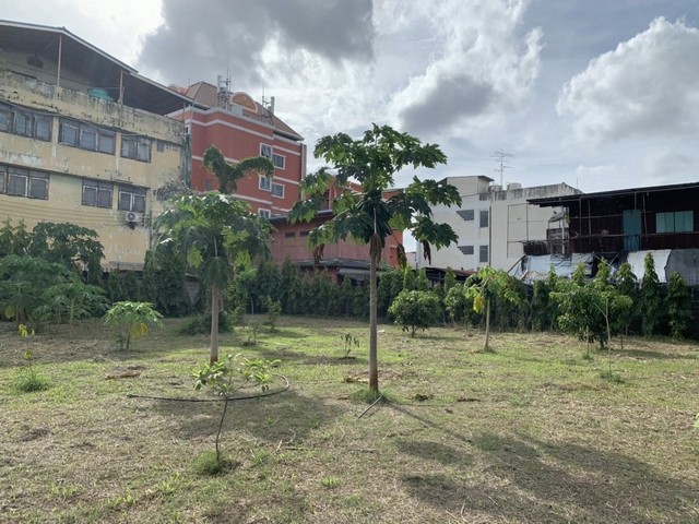 HR2703ให้เช่าบ้านเดี่ยว เนื้อที่ 1 ไร่เศษ ซอยเจริญรัถ ใกล้ไอคอนสยาม หมาะกับที่พักอาศัย office ครัวกลางร้านอาหาร สถานที่ทำ workshops  Cafe