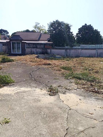 ขายที่ดินลาดหลุมแก้ว 123 ตร.ว ขายที่ดินหมู่บ้านวนาสิริ