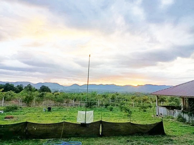 ขายที่ดินลี้ ลำพูน 23-3-09 ไร่ วิวภูเขา บรรยากาศธรรมชาติ ราคาดี