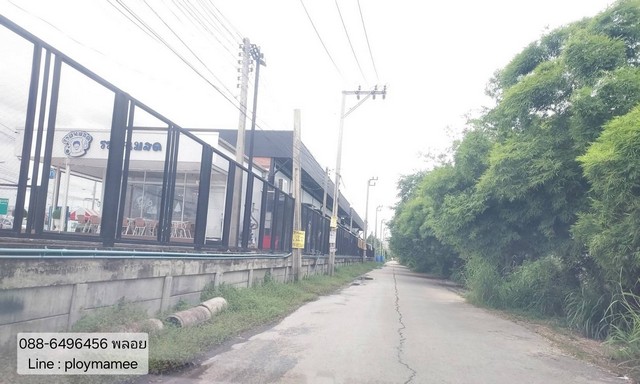 ขายที่ดินเปล่าด่วน ราคาถูกมาก 1 ไร่ ซอยลำโพ 11 บางบัวทอง อยู่ตรงข้ามอู่ลุงหนวด แบ่งแปลงแล้ว ทำเลดี ใกล้โรงเรียนสารสาสน์
