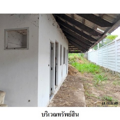 ขายบ้านเดี่ยวโครงการ ปัญญารีสอร์ท คันทรีคลับ ถนน สุขุมวิท ตำบล บางพระ อำเภอ ศรีราชา จังหวัด ชลบุรี