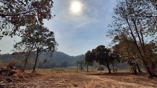 ขายที่ดินบนเนินเขาบางพระ ศรีราชา แปลงสวย แหล่งธรรมชาติ FP-L01017 