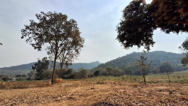 ขายที่ดินบนเนินเขาบางพระ ศรีราชา แปลงสวย แหล่งธรรมชาติ FP-L01017