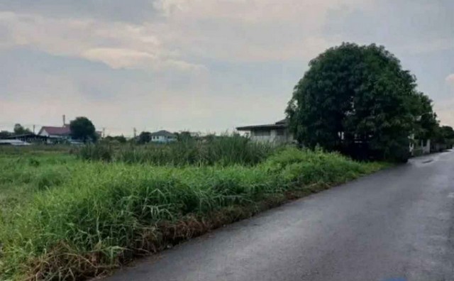 ขายที่ดิน 100 วา  ถนนราษฏร์อุทิศ ซอย12 ซอยสวนขวัญ  มีนบุรี  กรุงเทพ