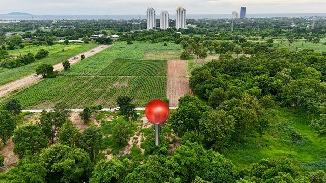 ขายที่ดินเปล่า วิวทะเล ฮวงจุ้ยดี หลังเขา ใกล้ ม.ราชมงคล บางพระ ศรีราชา TP-L1537