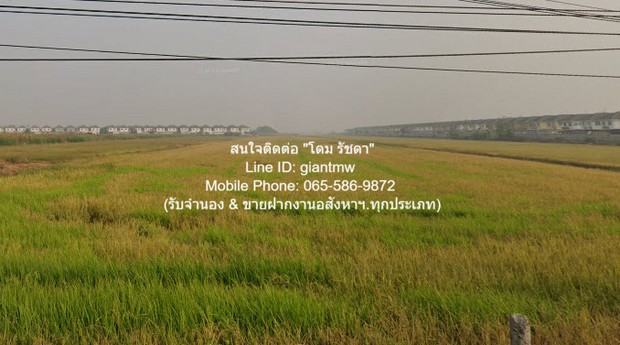 พื้นที่ดิน ให้เช่าระยะยาวที่ดินแปลงใหญ่ 38-2-94 ไร่ ติดถนนพหลโยธิน-ลำลูกกา (คลอง 7) ราคา 580,000 บาท/เดือน สภาพแวดล้อมดี ปทุมธานี