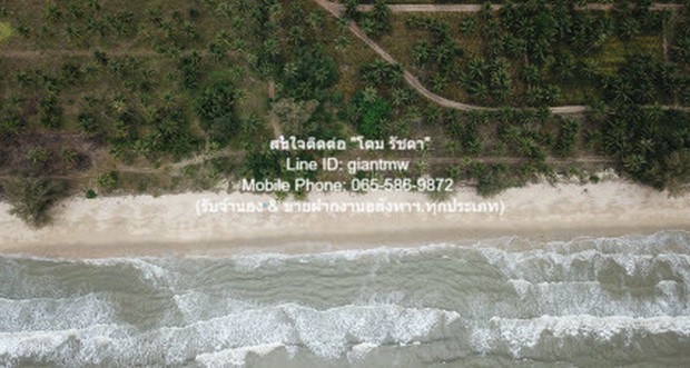 ที่ดิน ให้เช่าระยะยาวที่ดินแปลงใหญ่ 100 ไร่ ติดทะเลบางสะพาน (ตรงข้ามเกาะทะลุ) ราคา 1,500,000 บาท/เดือน area 40000 sq.wa  ไม่ไกลจาก ติดทะเลบางสะพาน บรรยากาศ ดี