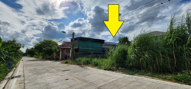 ขายที่ดินคลอง4 ลำลูกกา ซอยสุสวาท 100 ตรว เหมาะทำโกดัง ปลูกบ้าน อพาร์ทเม้นท์ ทำเลดี ใกล้แหล่งชุมชน