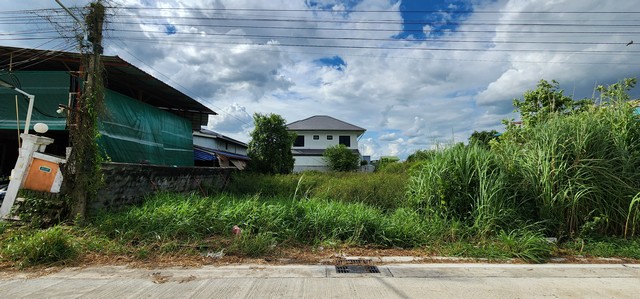 ขายที่ดินคลอง4 ลำลูกกา ซอยสุสวาท 100 ตรว เหมาะทำโกดัง ปลูกบ้าน อพาร์ทเม้นท์ ทำเลดี ใกล้แหล่งชุมชน