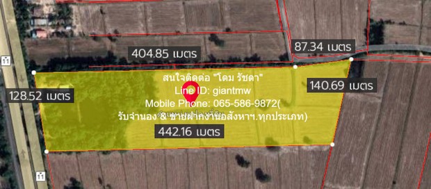 ที่ดิน //ปรับลดราคา//ขายที่ดิน พร้อมสิ่งปลูกสร้างติดทางหลวงหมายเลข 11 (อ.วังทอง จ.พิษณุโลก) 36-3-99.7 ไร่, ราคา 25,159,490 บาท  ขนาดพื้นที่ 99 ตาราง.วา 3 ngan 36 RAI    G O O D! พิษณุโลก   