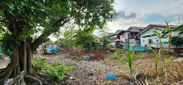 ายที่ดินซอยเพิ่มสิน คลองถนน บางเขน ขายราคาต่ำกว่าราคาประเมิน เหมาะ สร้างบ้าน อพาร์ทเม้นท์ ทำโกดัง ทำทาวน์โฮมขาย หรือซื้อไว้เก็งกำไรได้ค่ะ