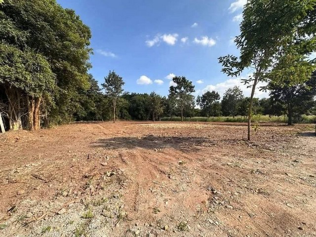 ขายที่ดินเปล่า วิวทะเล ฮวงจุ้ยดี หลังเขา ใกล้ ม.ราชมงคล บางพระ ศรีราชา TP-L1537