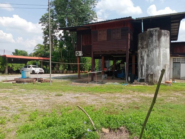 ขายที่ดินแพร่ ขายที่ดินสวนทุเรียนจังแพร่ เหมาะเป็นพักอาศัย ทำสวน และซื้อเก็บ