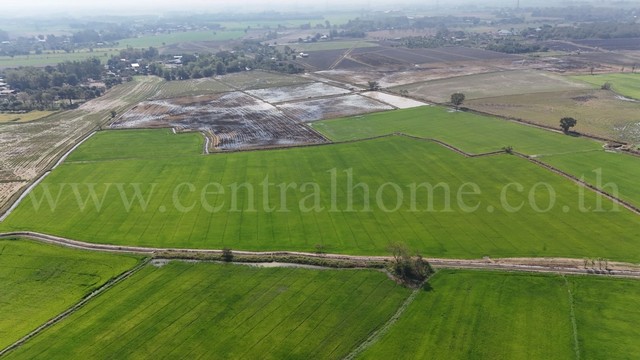 P5 ที่ดินเปล่า 22 ไร่ 41 ตร.ว. โคกม่วง ภาชี จ.อยุธยา ถูกที่สุด