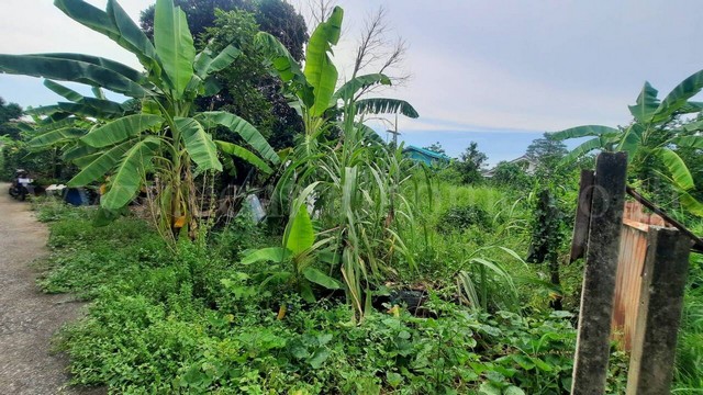 P1 ที่ดินเปล่า 100 ตร.วา หลักหก ปทุมธานี ติดรถไฟฟ้าสายสีแดง ราคาถูก