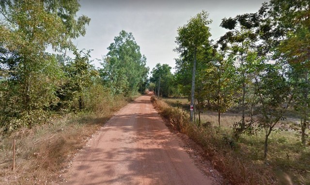 ขายที่ดินพร้อมสวนปาล์ม 10ไร่ ถูกมาก น้ำไฟ เข้าถึง ที่ดินติดถนนลาดยาง บินทร์บุรี ปราจีนบุรี