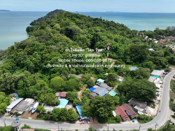 พื้นที่ดิน ขายที่ดินสวนป่า บนเนินไหล่เขา วิวทะเล (Seaview) เกาะสิเหร่ ภูเก็ต 5-0-48.7 ไร่ (ห่างชายทะเล 100 ม.), ราคา 76,826,250 บาท (15 ล้านบาท/ไร่) 76826250 BAHT  2049 ตรว.   NEW! ภูเก็ต   