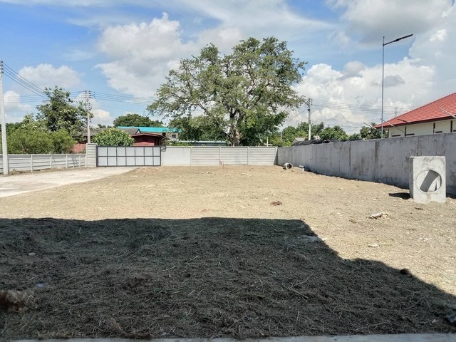 ขายโกดังเลี่ยงเมืองชลบุรี ขายอาคารโกดังบนเนื้อที่ 240 ตารางวา เหมาะสำหรับทำเป็นโกดังเก็บของ หรือจะสร้างบ้านก็ดี