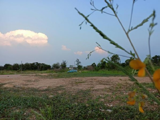 ขายที่ดิน กรุงเทพ ที่ดินโซนหนองจอก-ถมแล้ว-ลดสุดๆเจ้าของจะไปต่างประเทศ ที่ดินถม