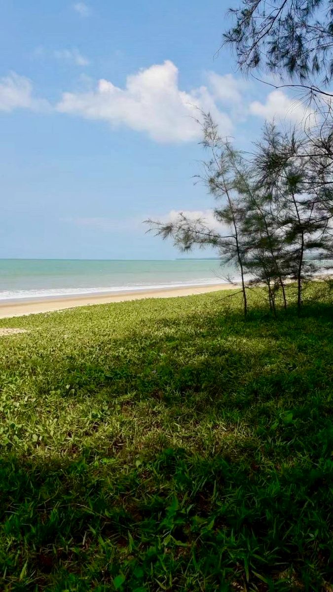 ขายที่ดินเปล่า 8 ไร่ ติดทะเล (ต.เกาะคอเขา อ.ตะกั่วป่า จ.พังงา) ติดถนน 2 ด้าน