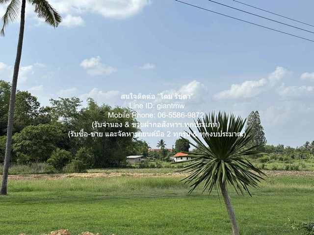 รหัส:  DSL-1106 SALE พื้นที่ดิน //ถูกสุด//ขายที่ดินเปล่าติดถนน (ระดับเสมอถนน) 7 ไร่ (ใกล้ท่าอากาศยานโพธาราม) ต.เขาชะงุ้ม อ.โพธาราม ราชบุรี ราคา 3,010,000 บาท (โอนฟรี) พท. 2800 sq.wa  3010000 -   SECRET DEAL!!