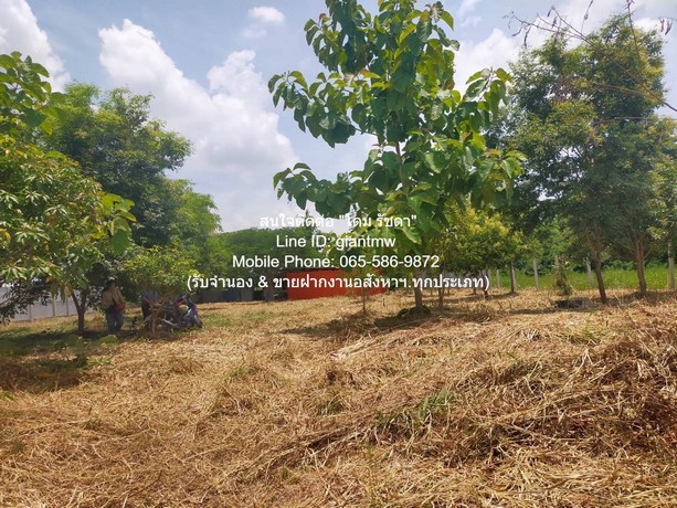 ที่ดิน ขายที่ดินเปล่า 1-0-14.5 ไร่ (414.5 ตร.ว.) ซ.สุวินทวงศ์ ใกล้สนามกอล์ฟฟินิกซ์ โกลด์ กอล์ฟ แบงค็อก  4500000 B. ใกล้กับ ใกล้สนามกอล์ฟฟินิกซ์ โกลด์ กอล์ฟ แบงค็อก (Phoenix Gold Golf Bangkok) ทำเล-ทอง กรุงเทพ