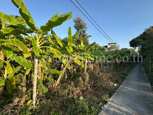 ที่ดินเปล่า 125.2 ตารางวา ซอยพิบูลสงคราม 22 ซอยวัดกำแพง