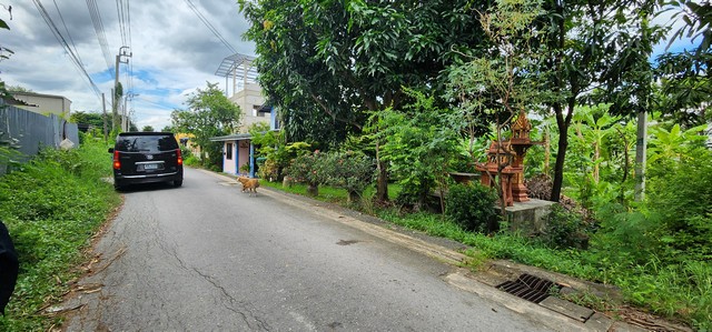 ขายที่ดินสายไหม 150 ตรว ถมแล้ว เหมาะ ปลูกบ้าน ทำโฮมออฟฟิศ หรือซื้อเก็งกำไรได้ค่ะ ขายราคาถูก