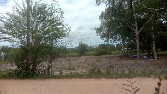 ขายถูก ที่ดินเปล่าถมแล้ว ตรงข้าม ม.ศิลปากร  สามพระยา ชะอำ เพชรบุรึ