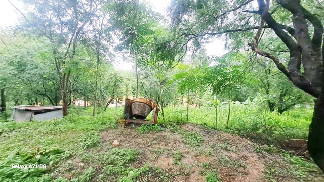 ขายที่ดิน ที่ดินสวย ทำเลดีมาก 36-2-36 ไร่ แม่ระมาด ตาก ใกล้โรงพยาบาลแม่ระมาด เดินทางสะดวก