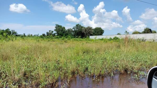 ขายที่ดินเปล่า ตำบลวังหว้า อำเภอวังหว้า จังหวัดระยอง เนื้อที่ 2ไร่