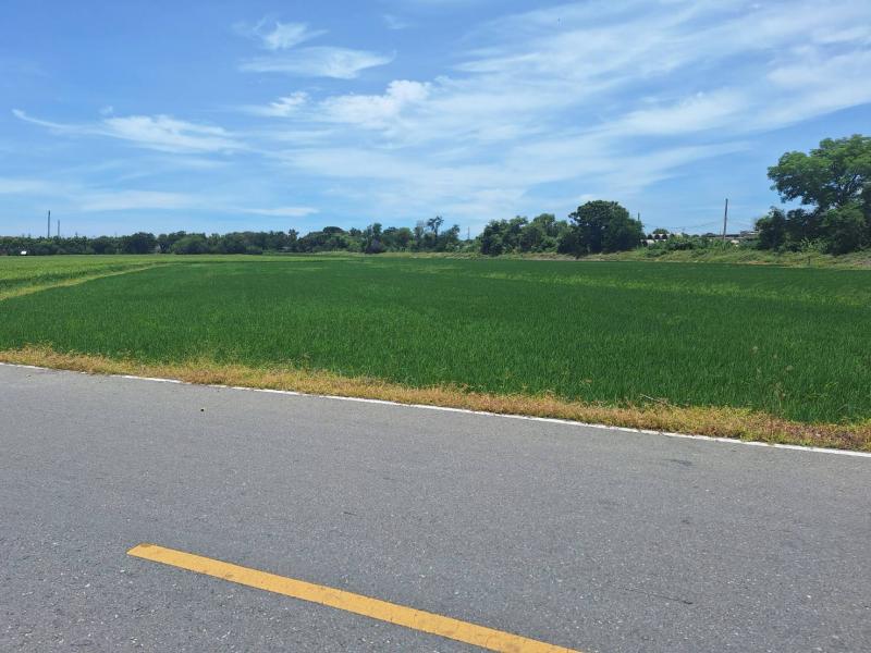 ##ขายที่ดิน 7-3-55 ไร่  ติดทางด่วนบางปะอิน-ปากเกร็ด ใกล้ ม.ธรรมศาสตร์ ศูนย์รังสิตโซน : สามโคก  ปทุมธานีที่ตั้ง :  ต.เชียงรากใหญ่  อ.สามโคก  จ.ปทุมธานีลักษณะโดยทั่วไป- ที่ดินเปล่าแปลงใหญ่ ทำเลสวย ติดทางด่วนบางปะอิน-ปากเกร็ด ใกล้ ม.ธรรมศาสตร์ (ศูนย์รังสิต)- เนื้อที่  7-3-55  ไร่- หน้ากว้างติดถนน  63 ม.  ลึก  389 ม.- แปลงสวยติดถนน ทำเลดี  น้ำไม่ท่วม- พื้นที่สีเขียว (ชนบทและเกษตรกรรม)- เหมาะ